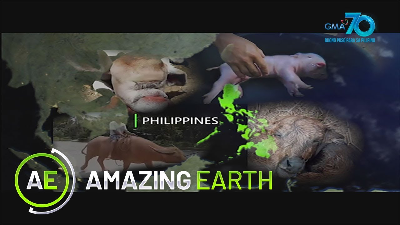 Amazing Earth September 19, 2021 poster image on Pinoy Tambayan