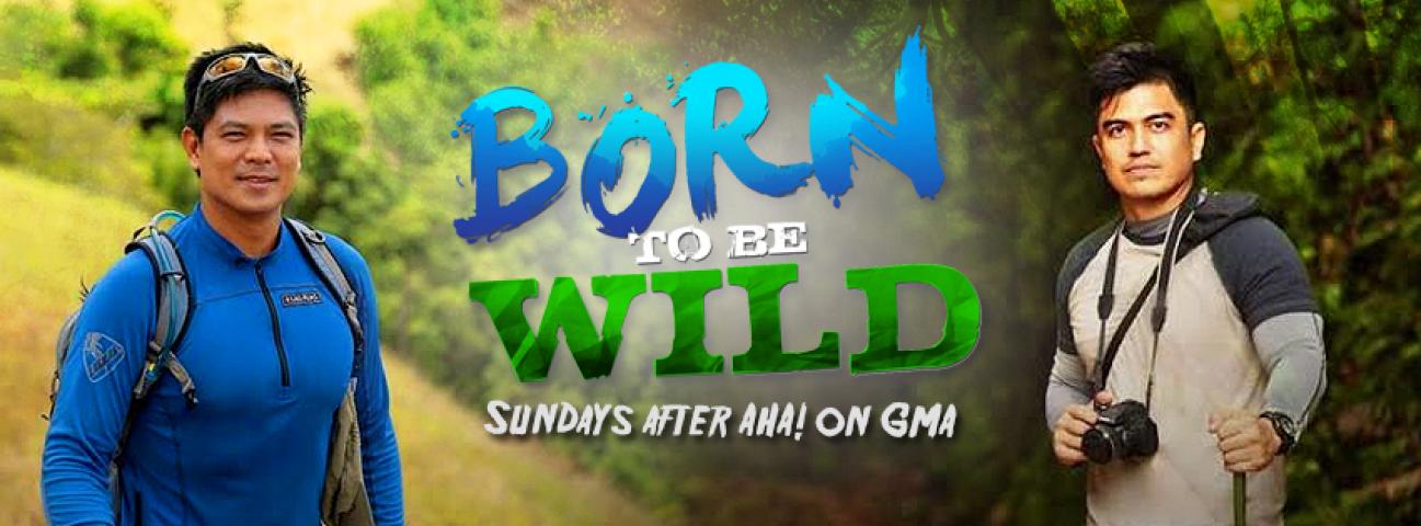 Born To Be Wild September 5, 2021 poster image on Pinoy Tambayan